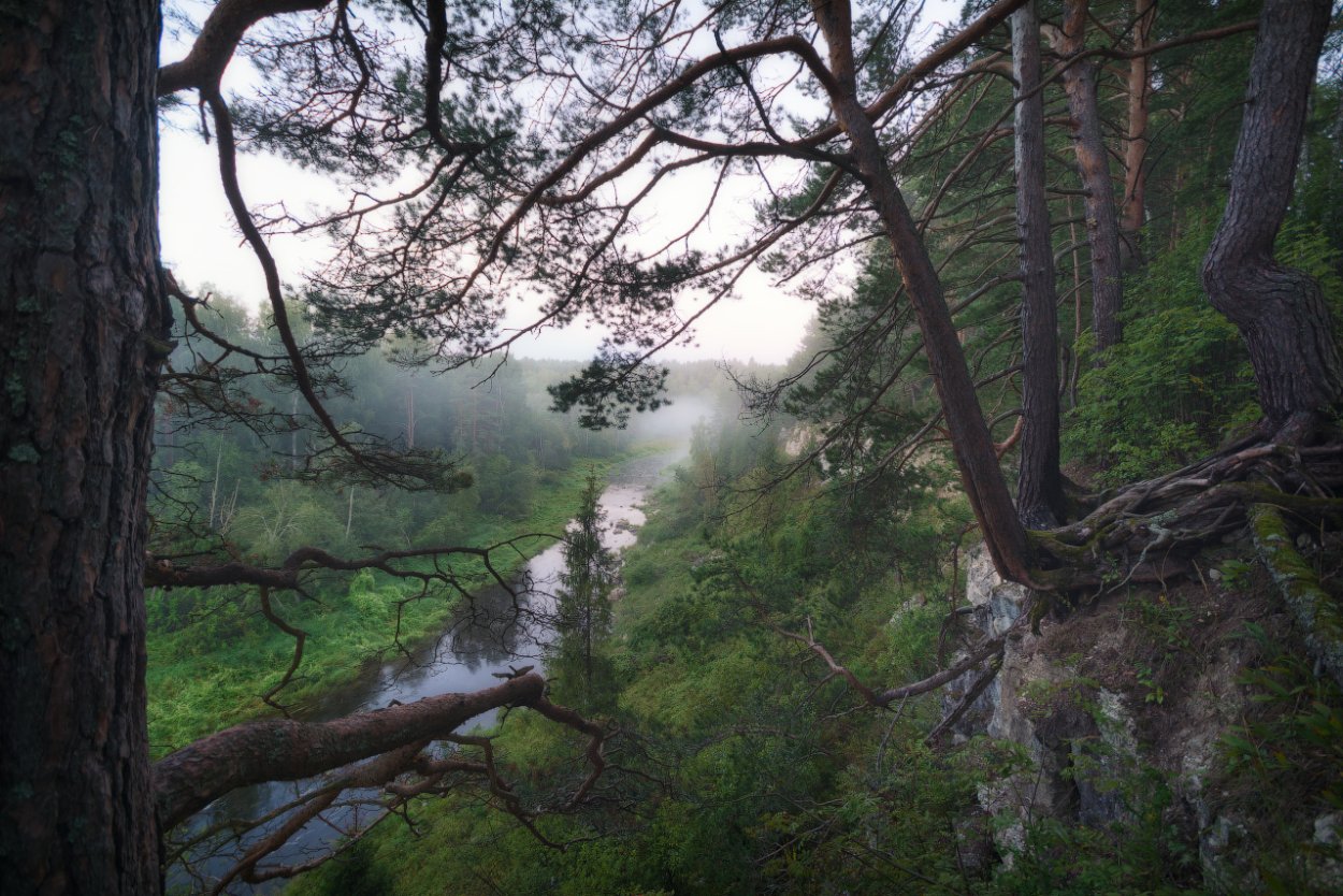 Небольшой обрыв в лесу