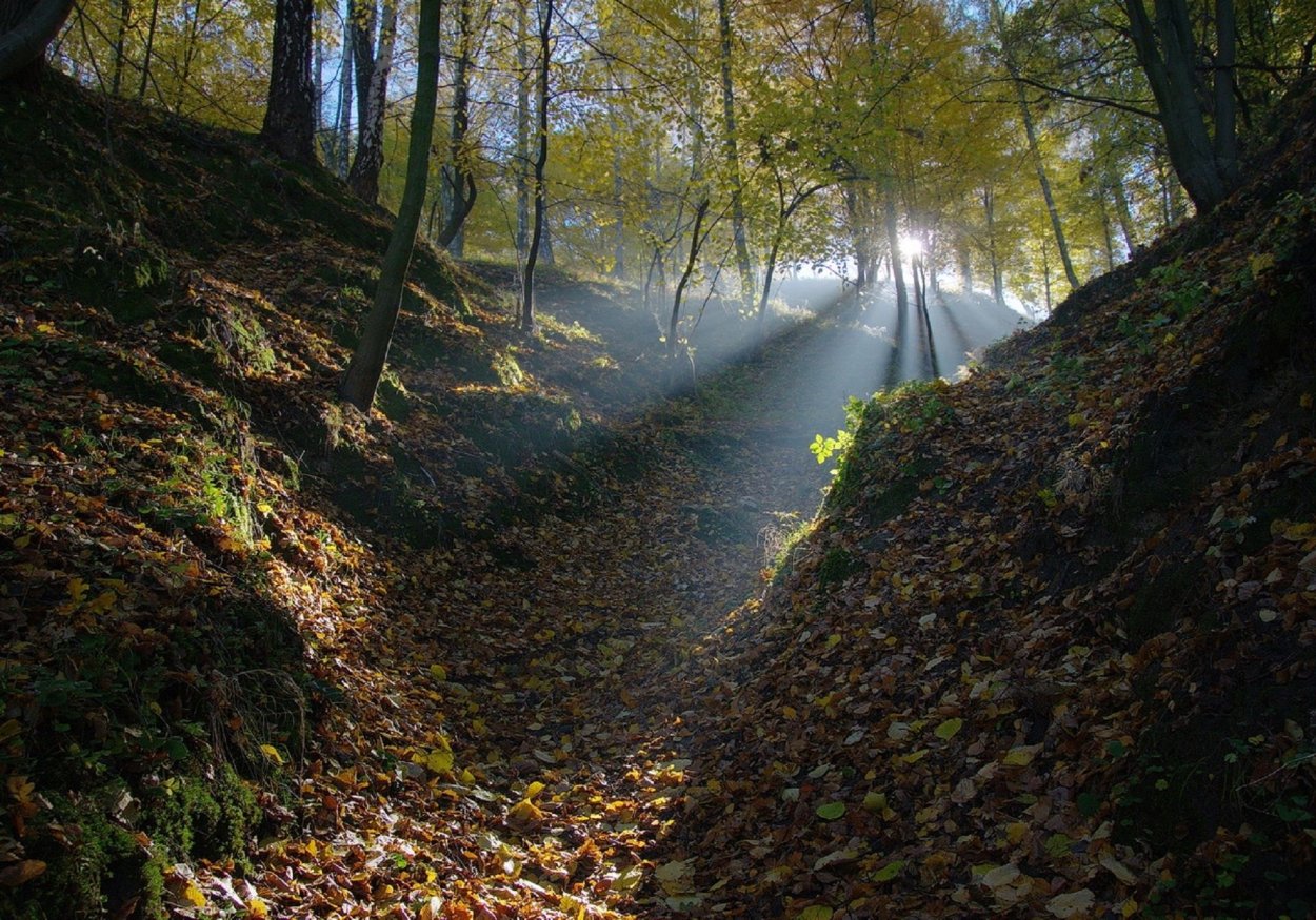 Чертов овраг возле села ляды Псковской области