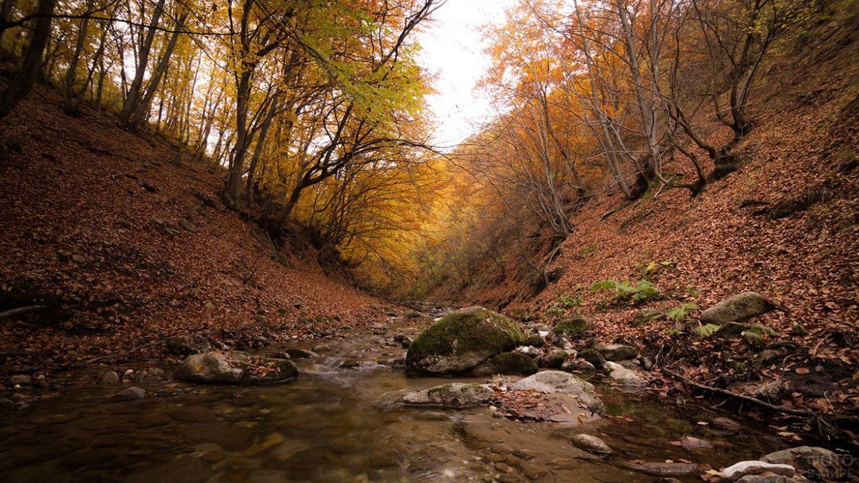 Овраг у реки