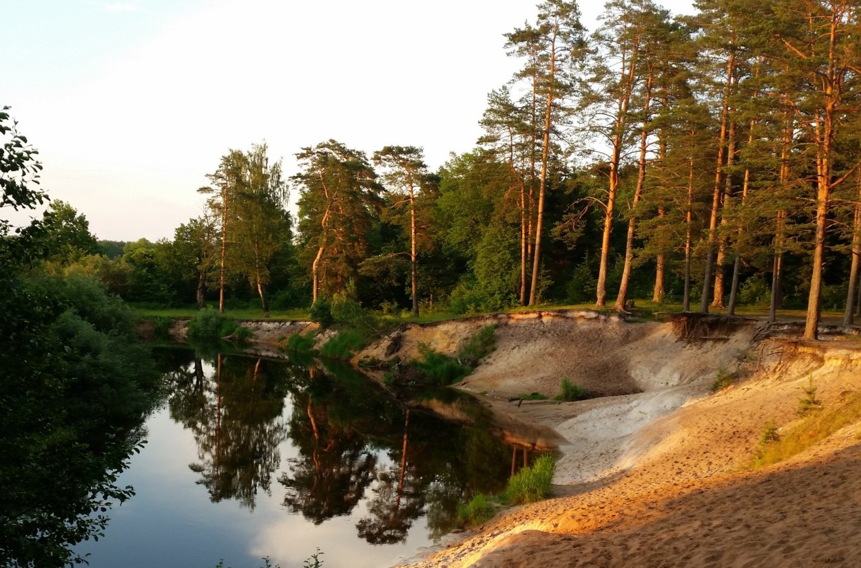 Река Луга ласточкин обрыв