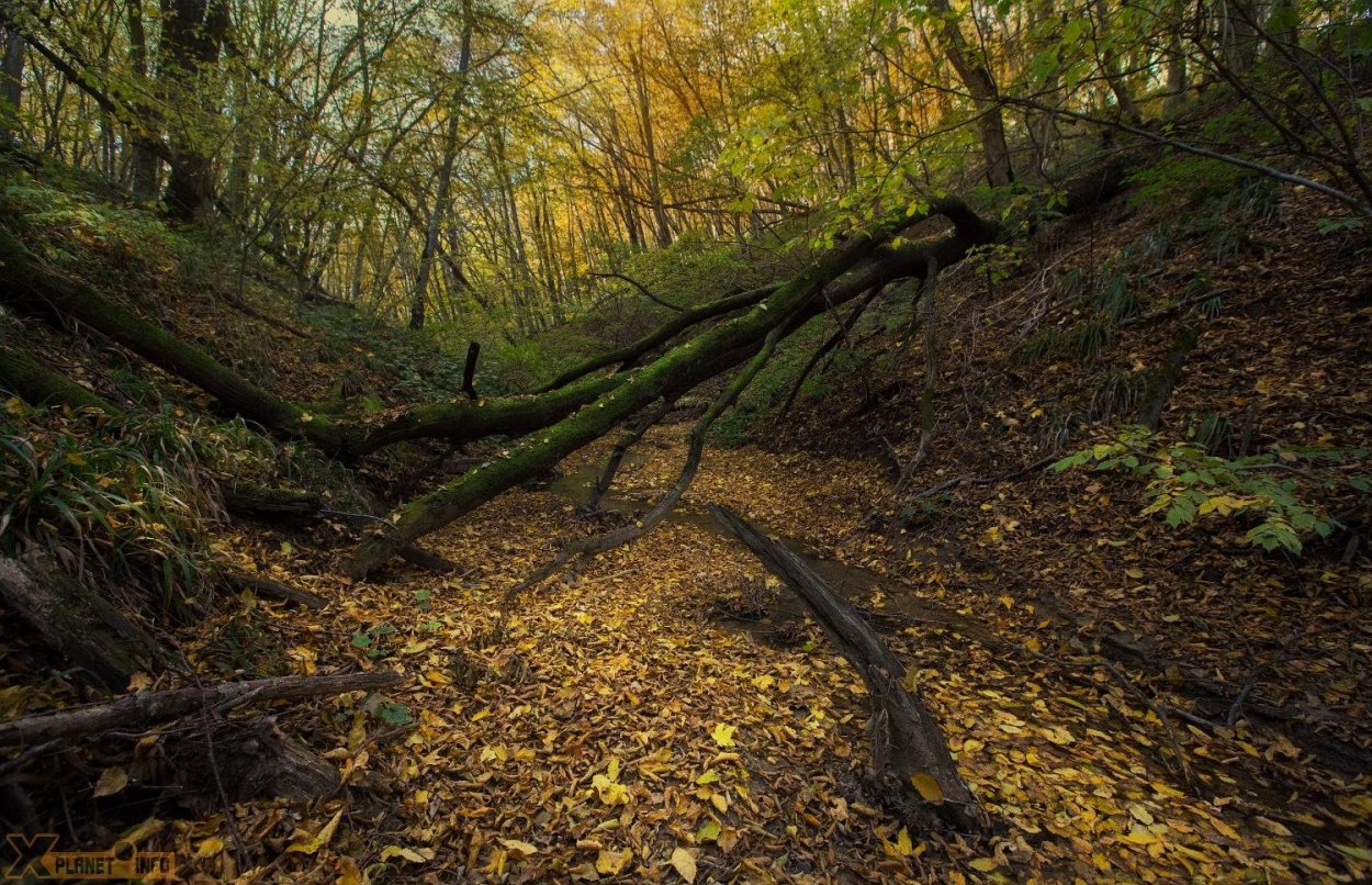 Хоботовский овраг