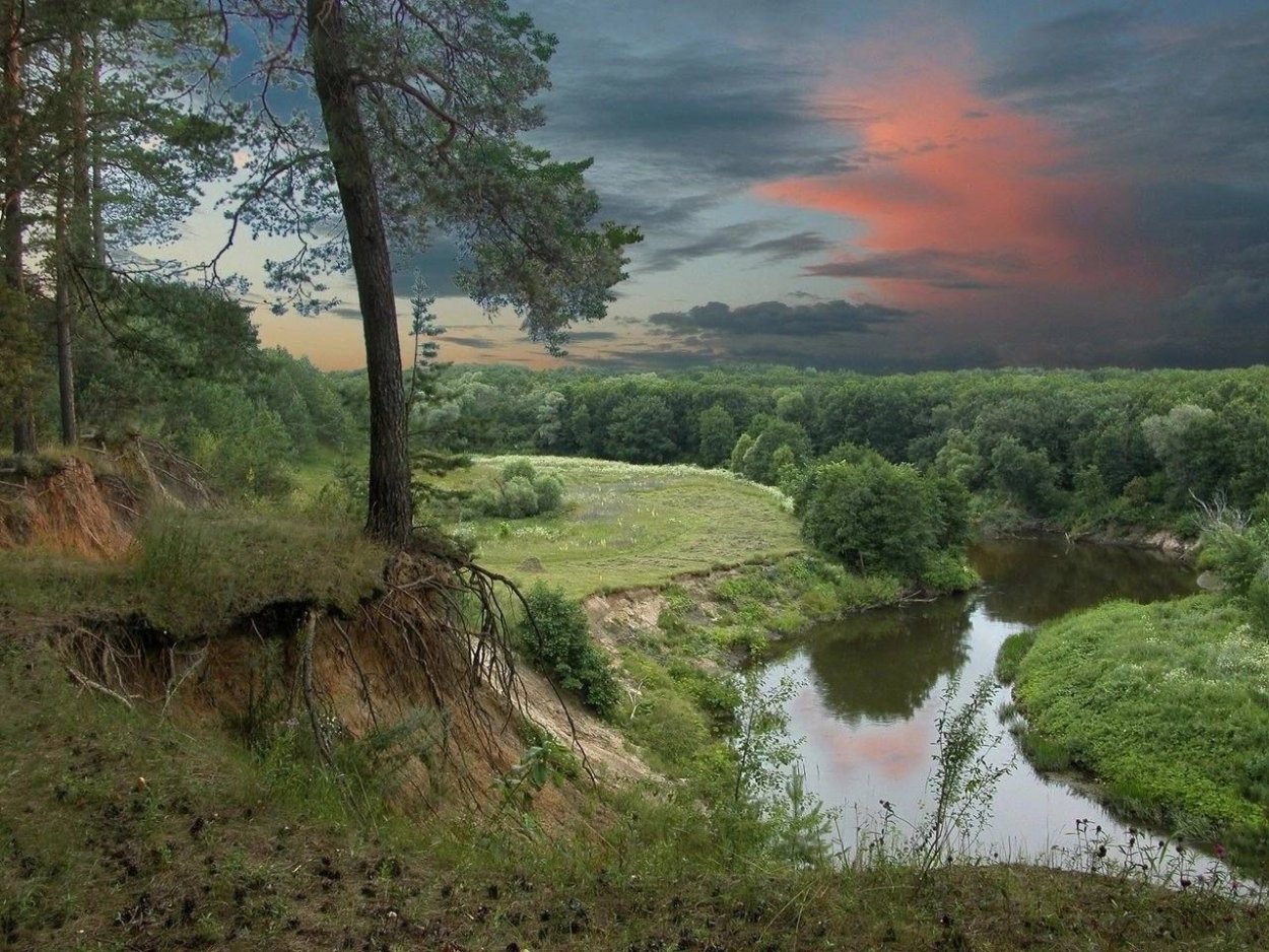 Река Клязьма обрывистый берег