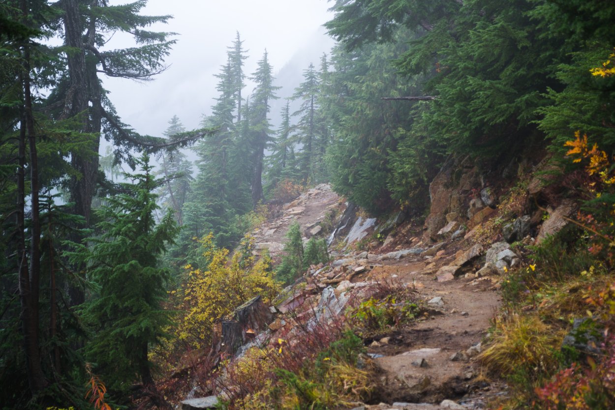 Лесной заповедник Айдос Стамбул