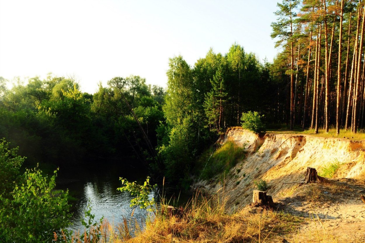 Река Челновая Тамбовская область