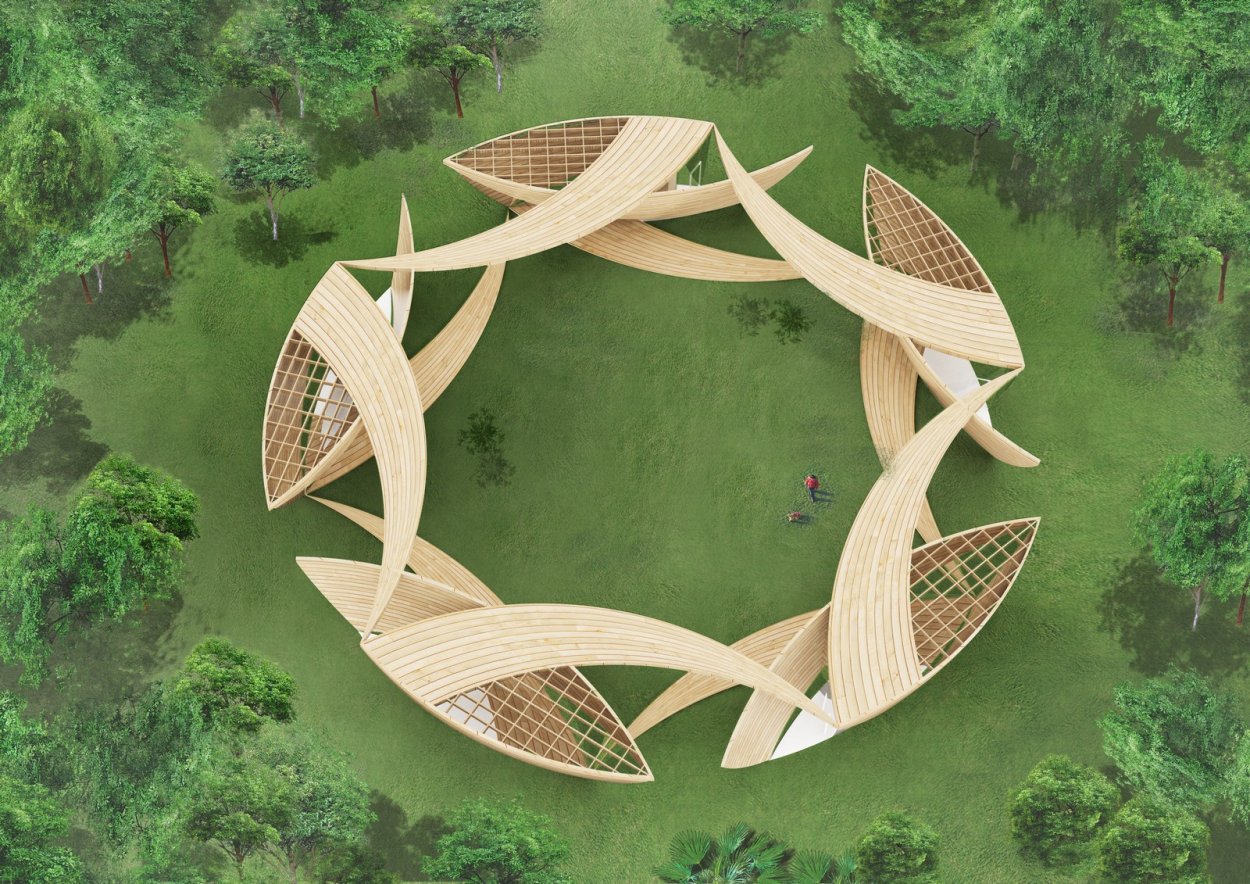 Необычные деревья