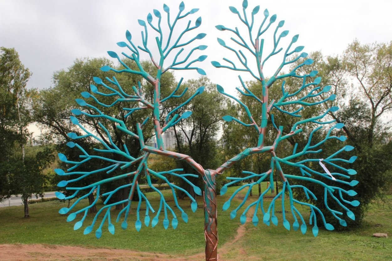 Книжные полки