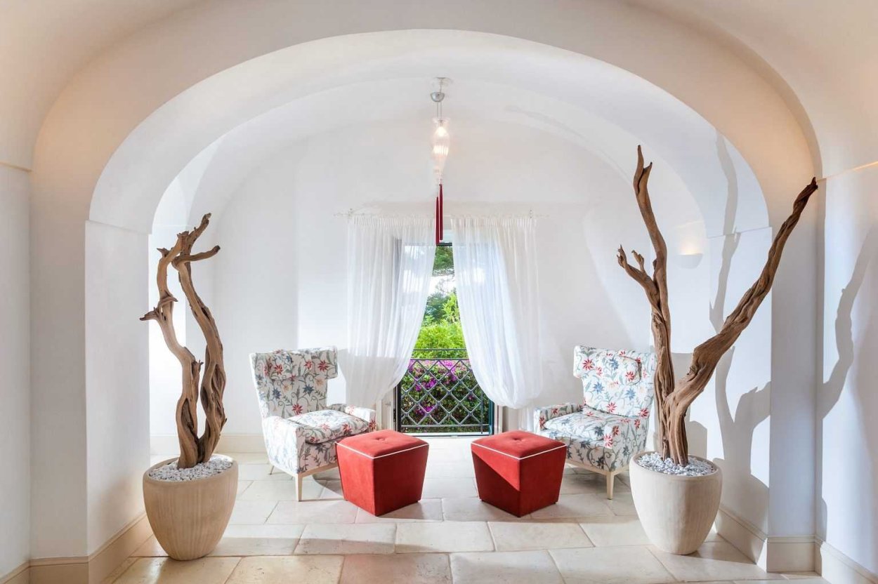 Гигантские калифорнийские цереусы