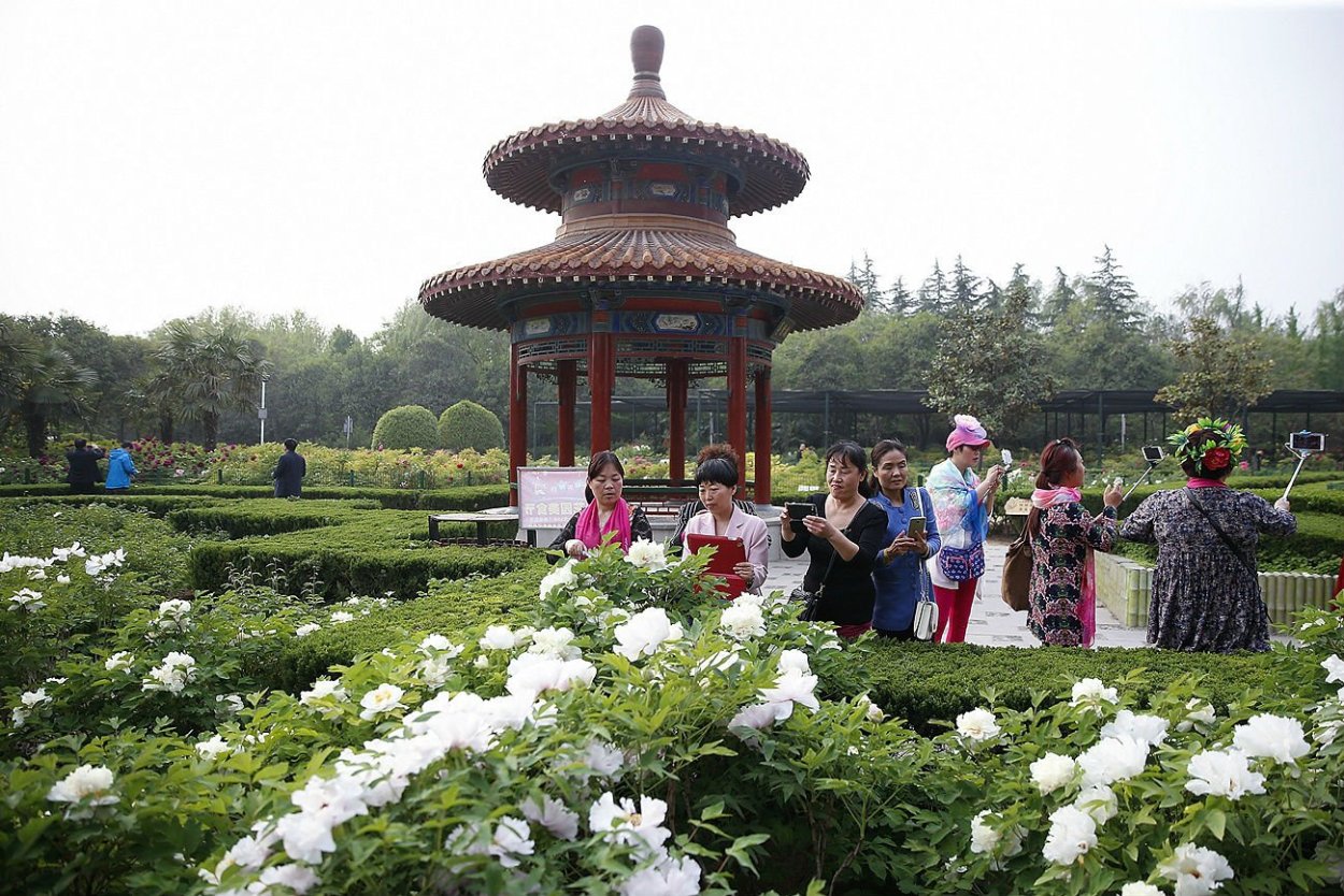 Лоян парк пионов