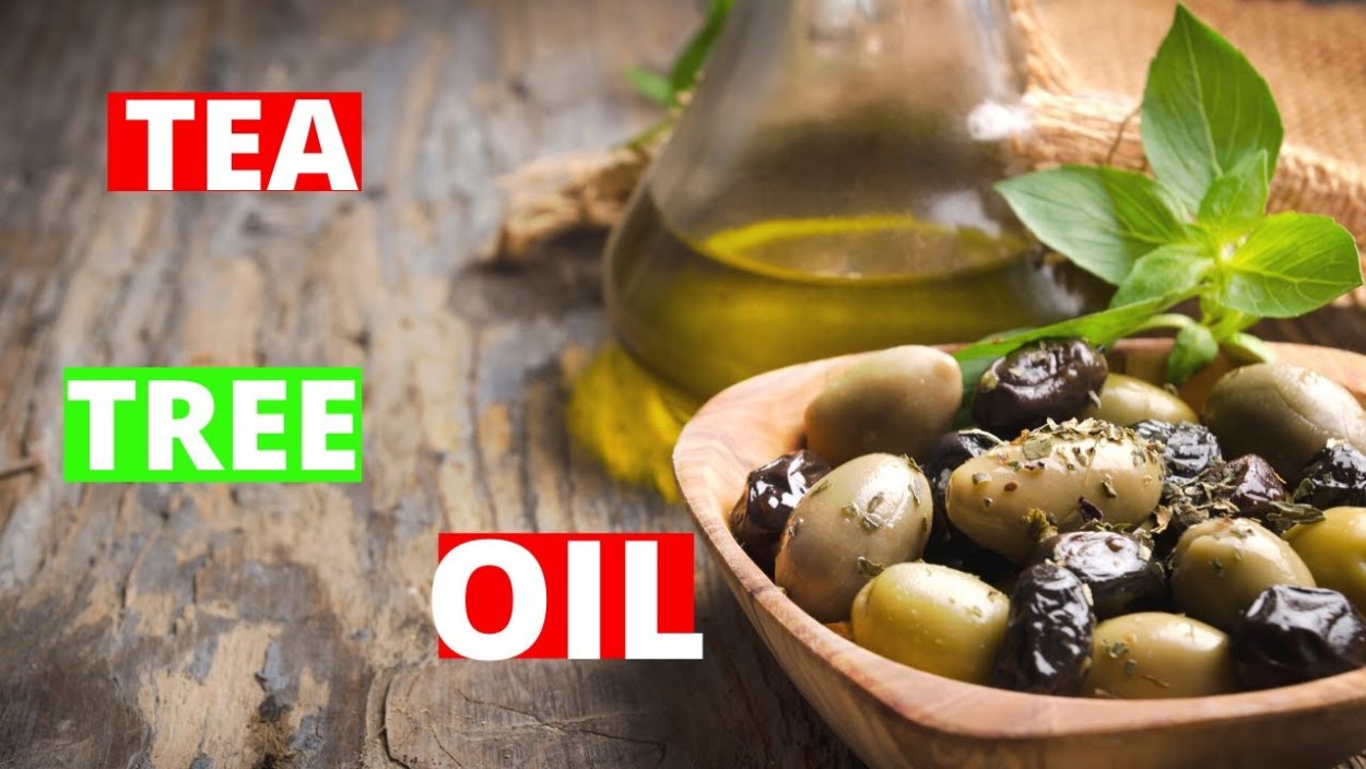 Янтарь дерево с плодами