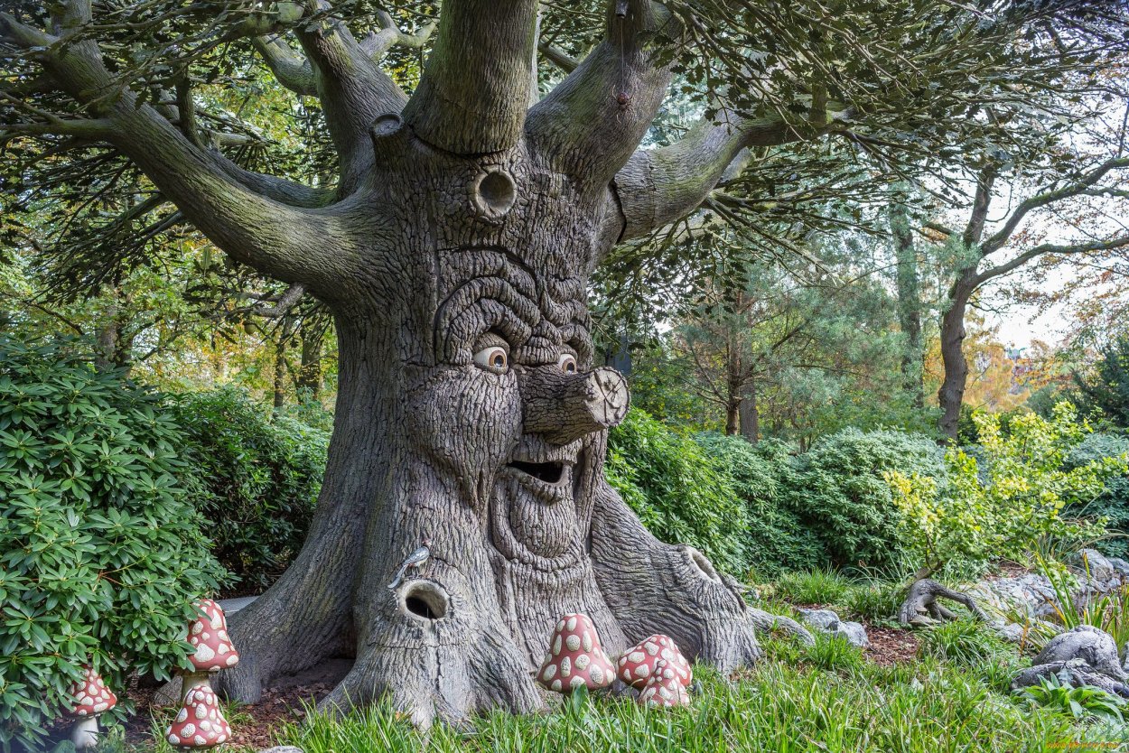 Волшебный лес