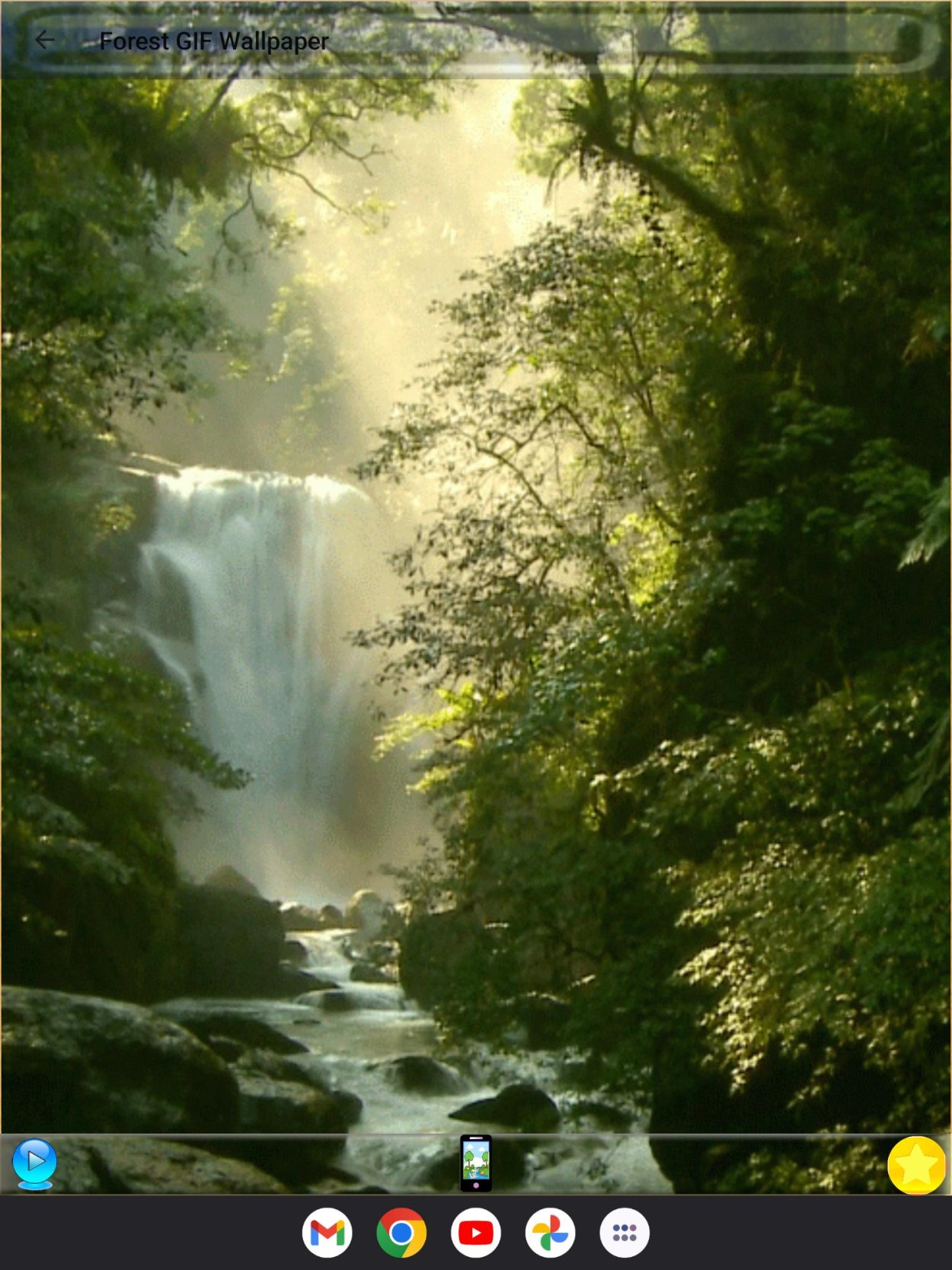 Живой лес Линда