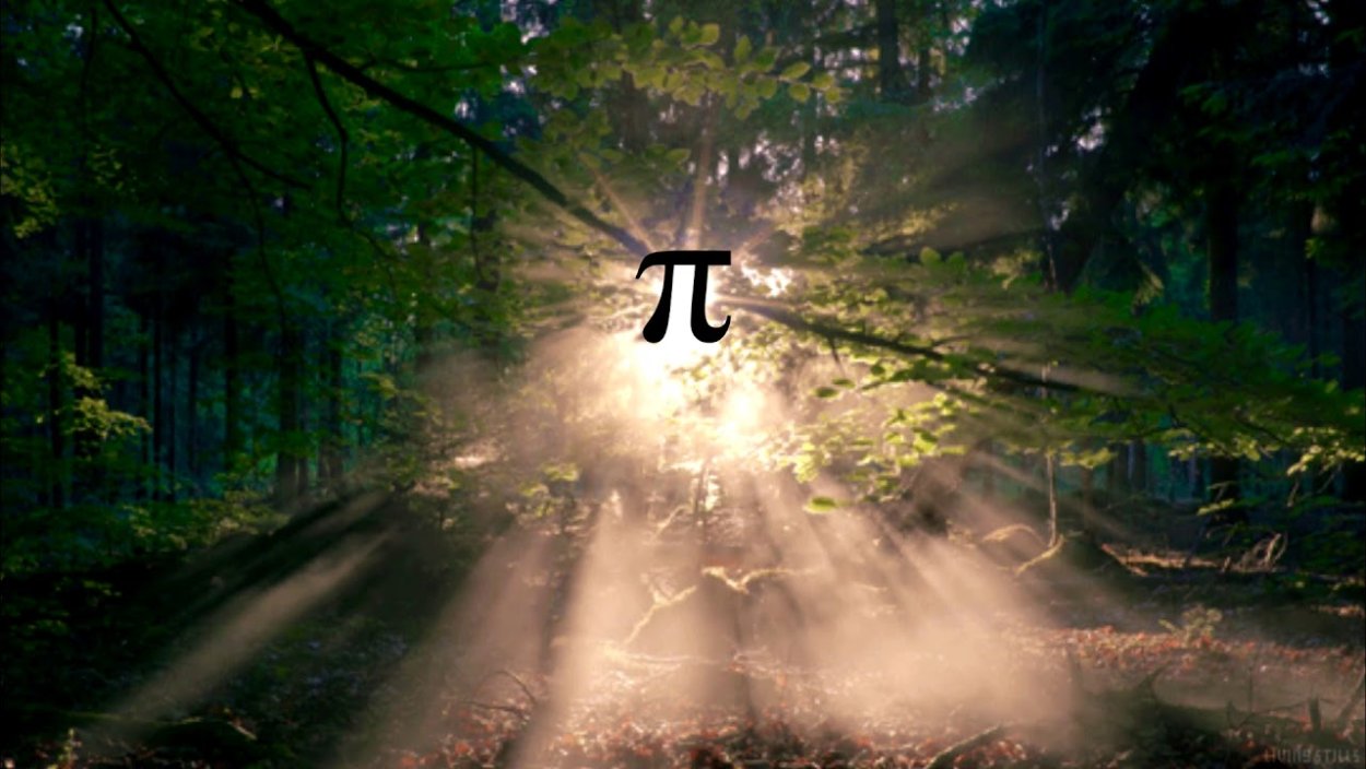 Great Bear Rainforest Канада