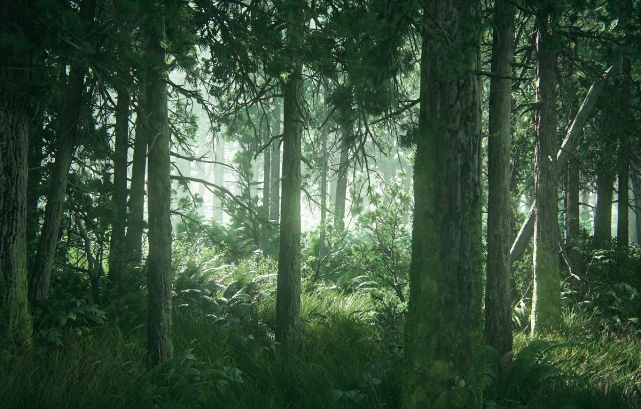 Живая природа водопады