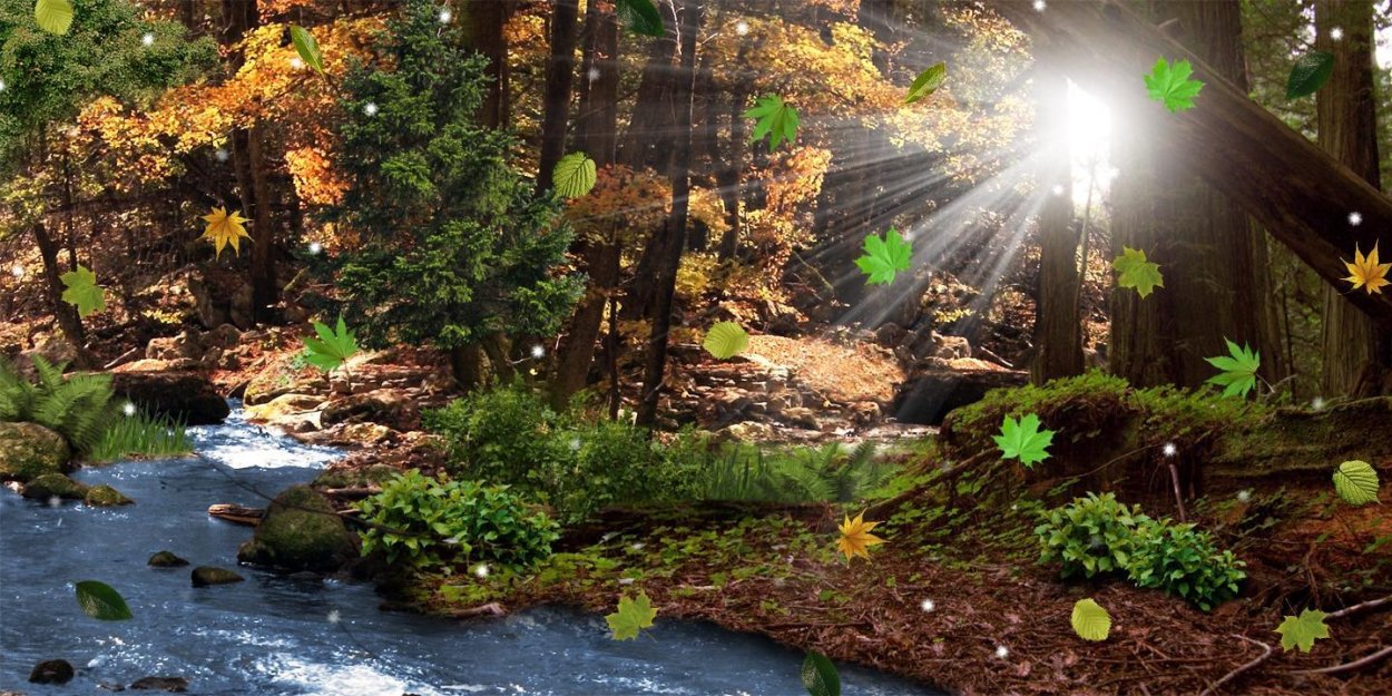 Живые обои лес