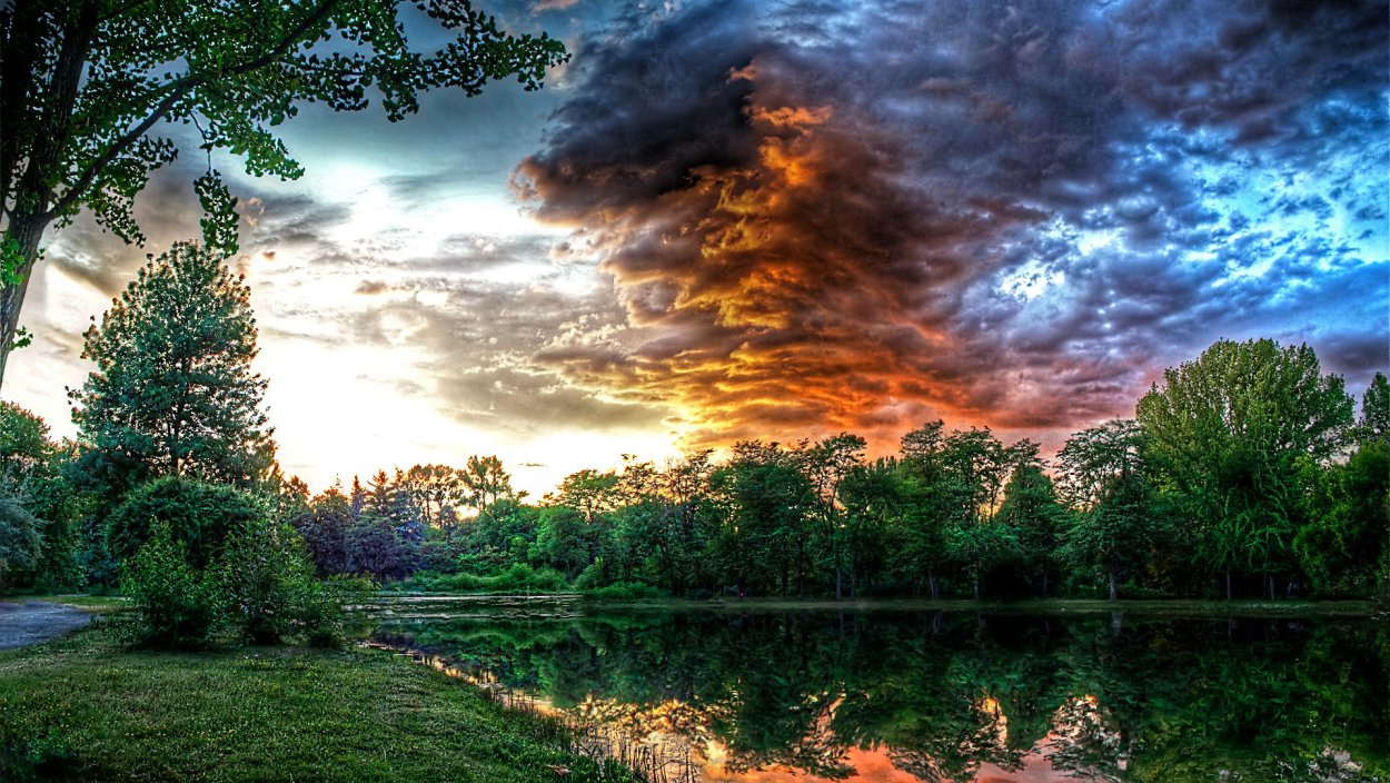 Живые обои для Windows 10 природа