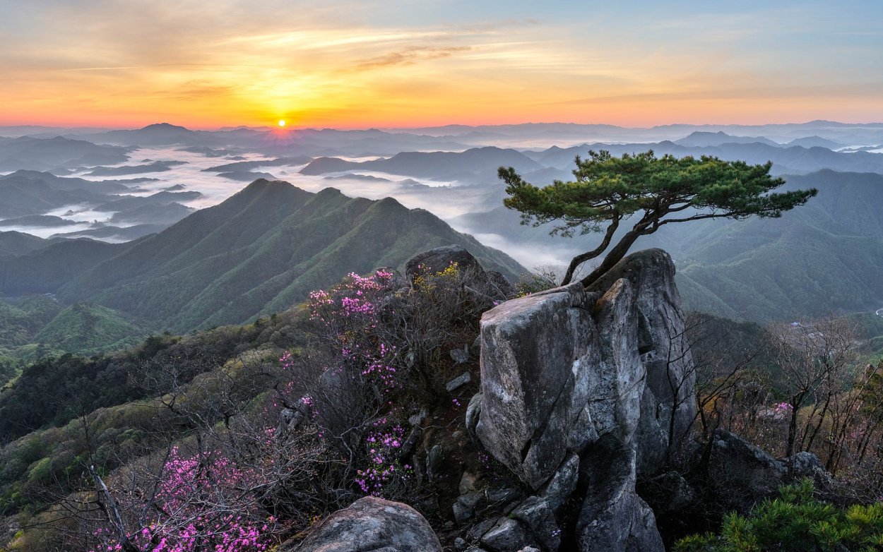 Лес и горы Эстетика