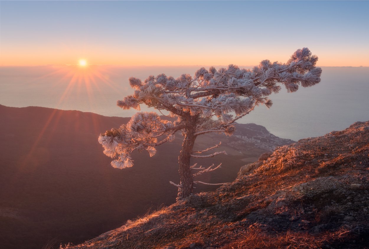 Ай-Петри на закате зимой