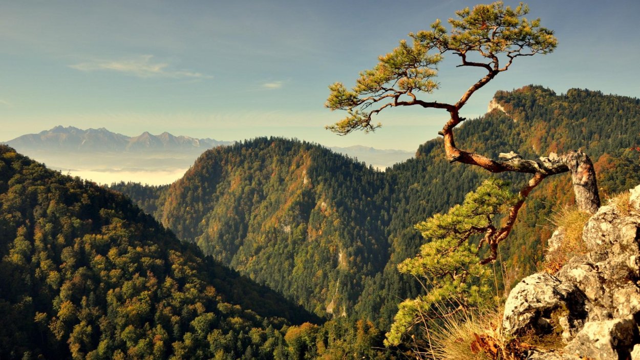 Драконья гора Южная Корея