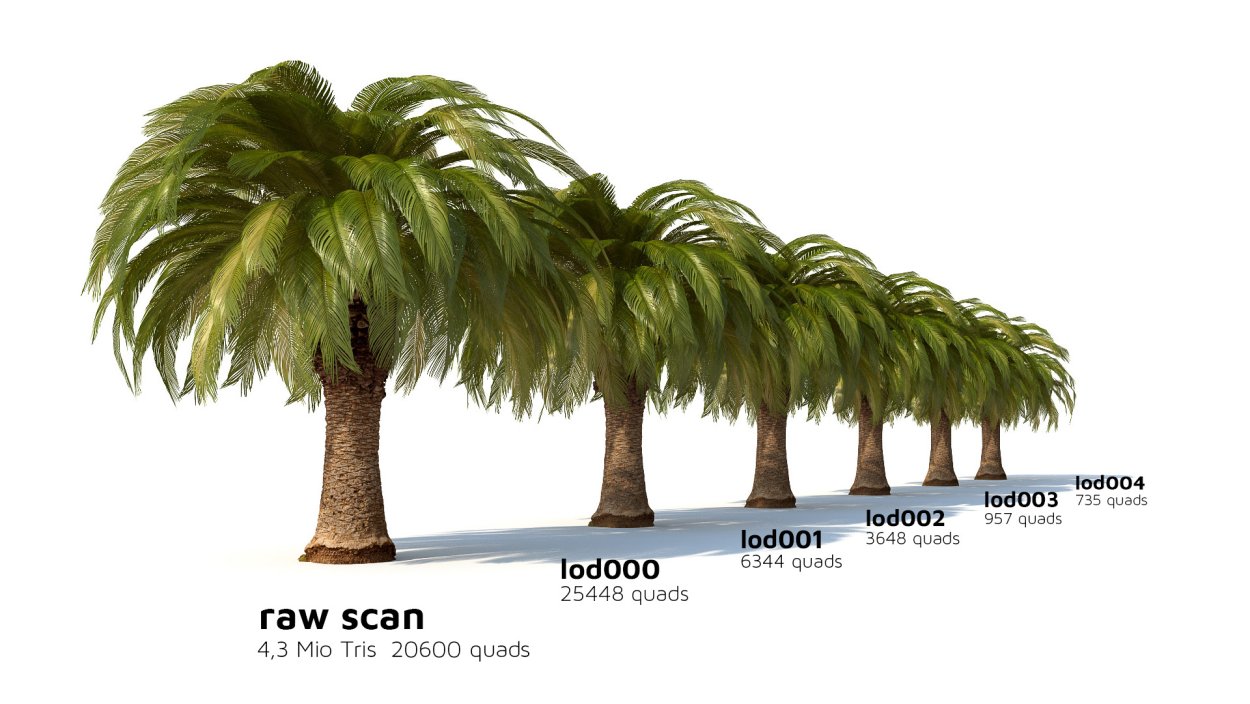 Финик робелини (финиковая Пальма)
