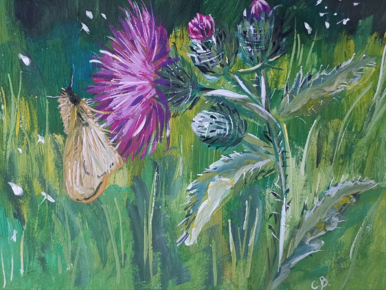 Чертополох в Ботанической акварели