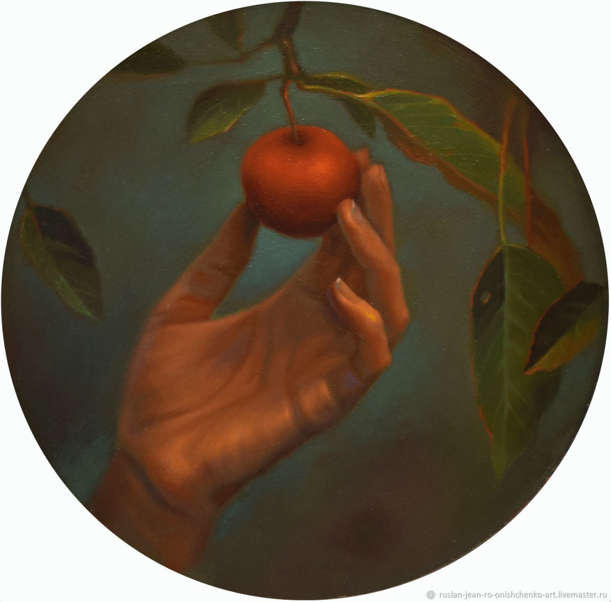 Яблоня декоративная Макамик