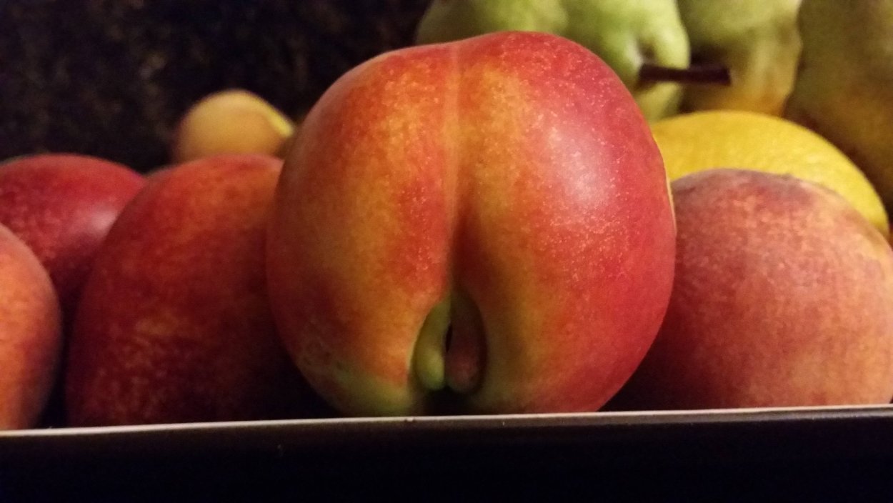 Яблоня персиковое