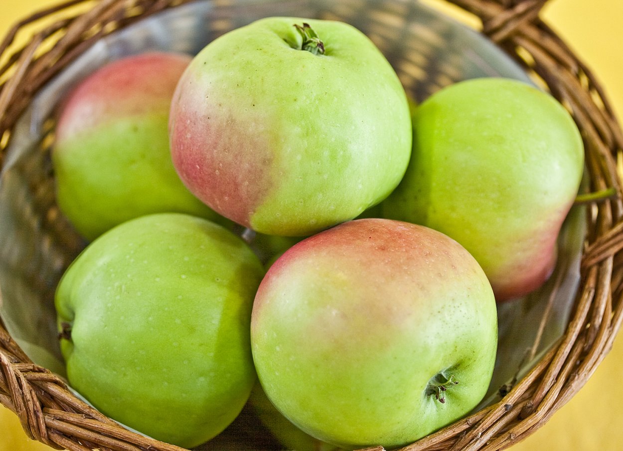 Яблоко Успенское