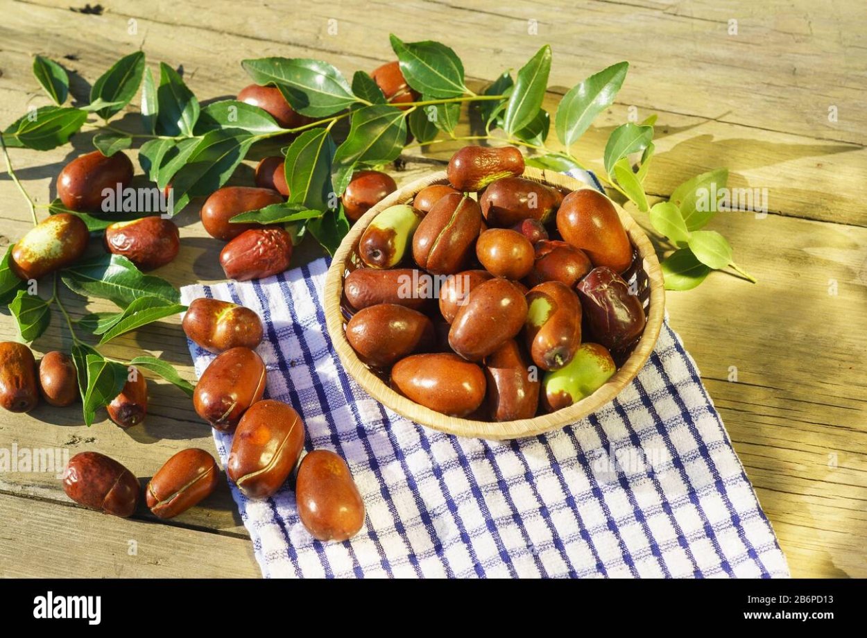 Китайский финик ююба