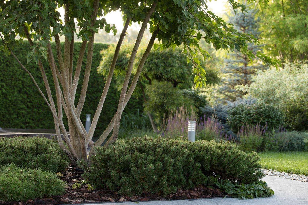 Красивые селфи на природе зимой