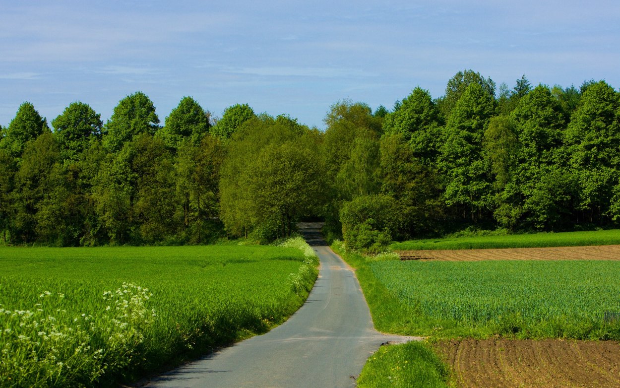 Коттеджный поселок поле лес