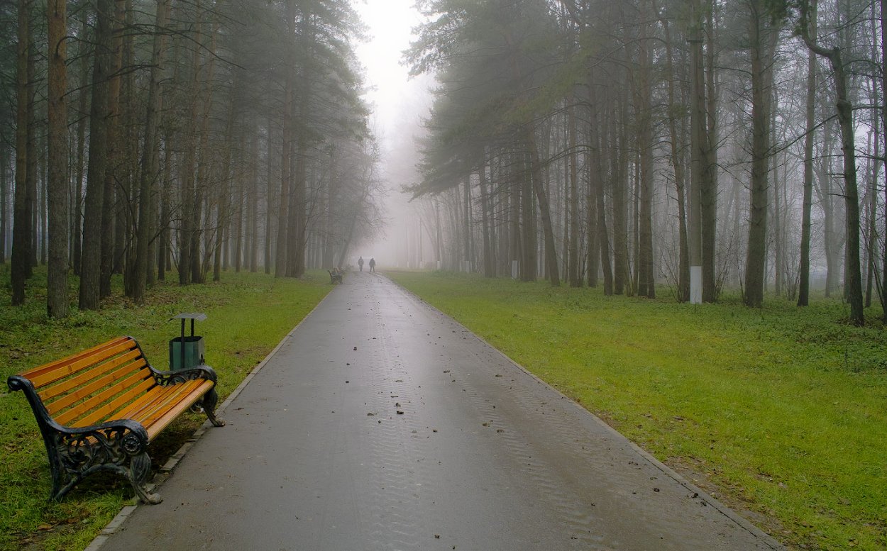 Аллея парка уходящая вдаль
