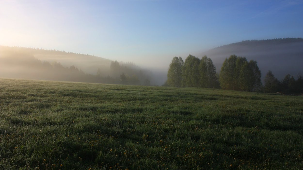 Поляна в тумане