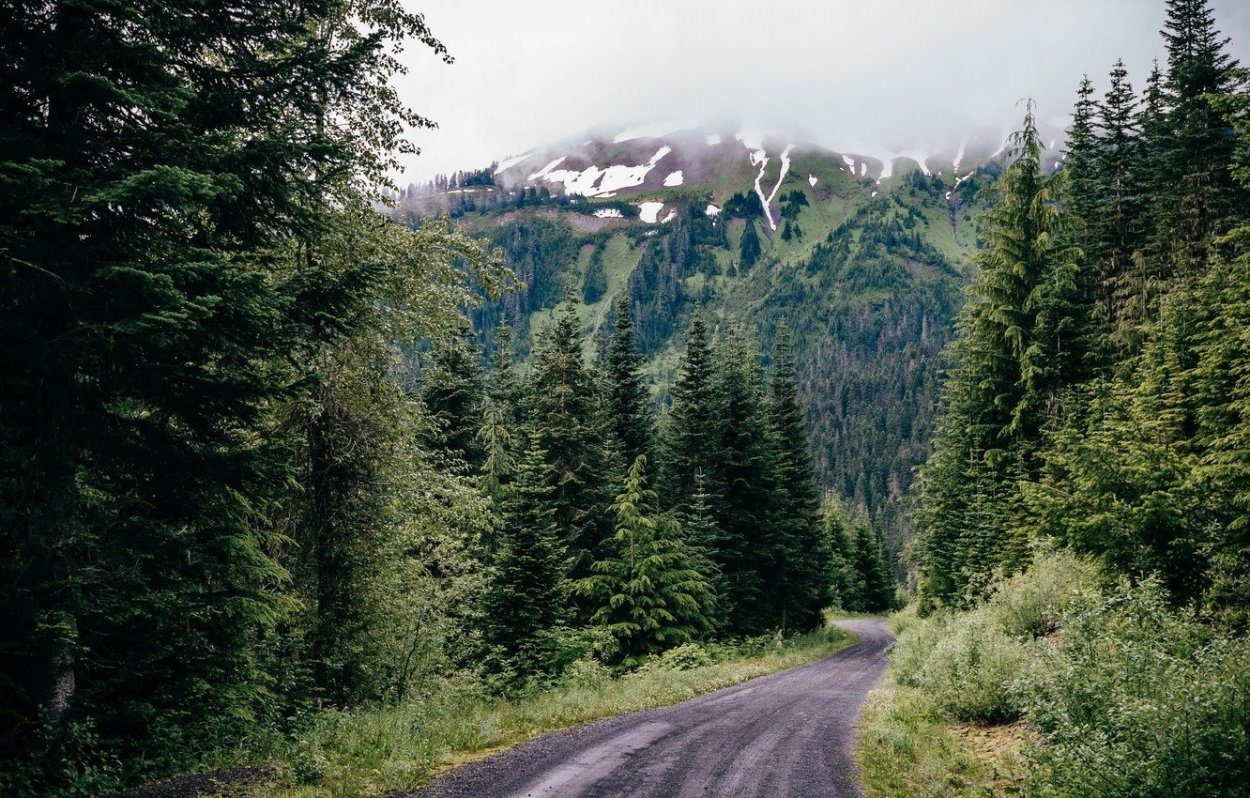 Шварцвальд дорога