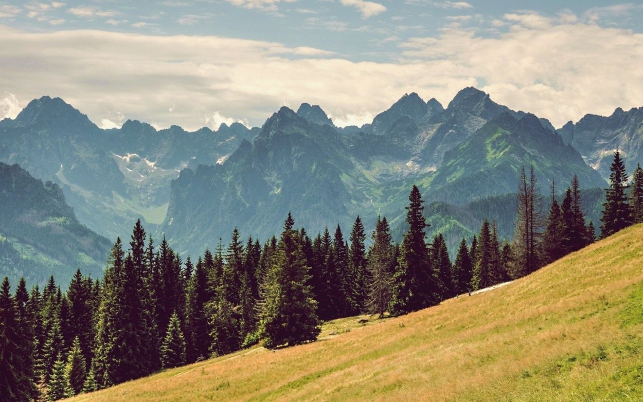 Горы на заднем плане