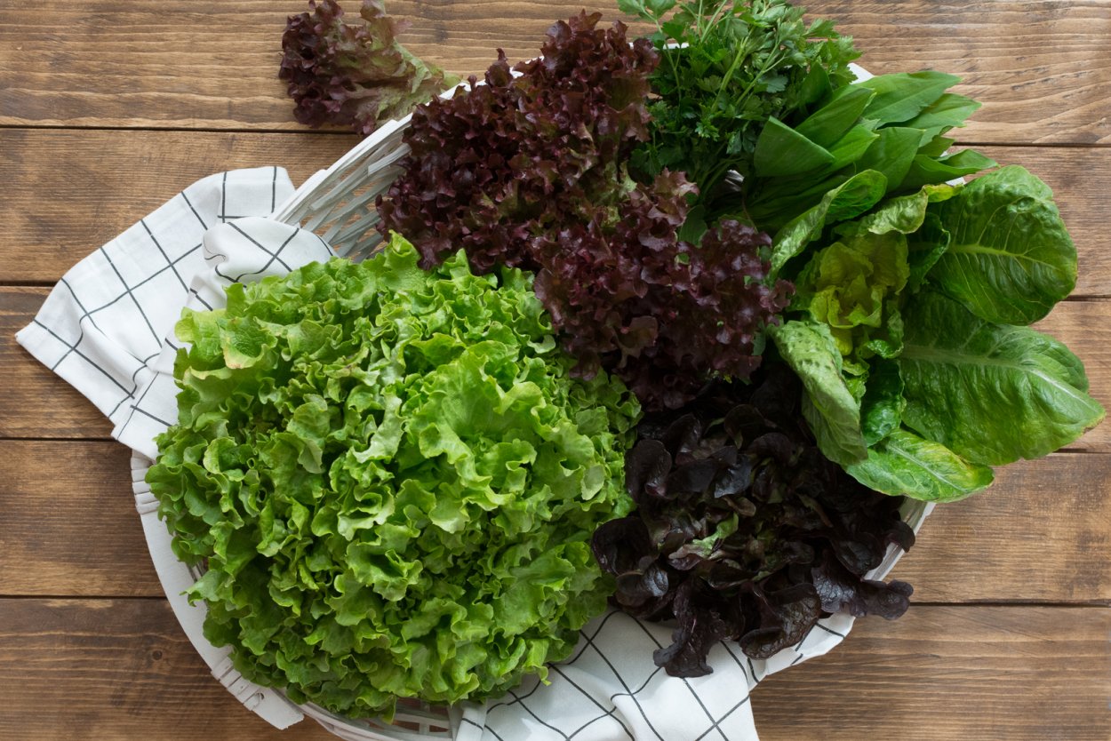 Салатные листья Коул соул