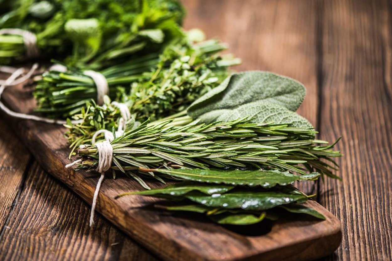 Зелень для салатов названия