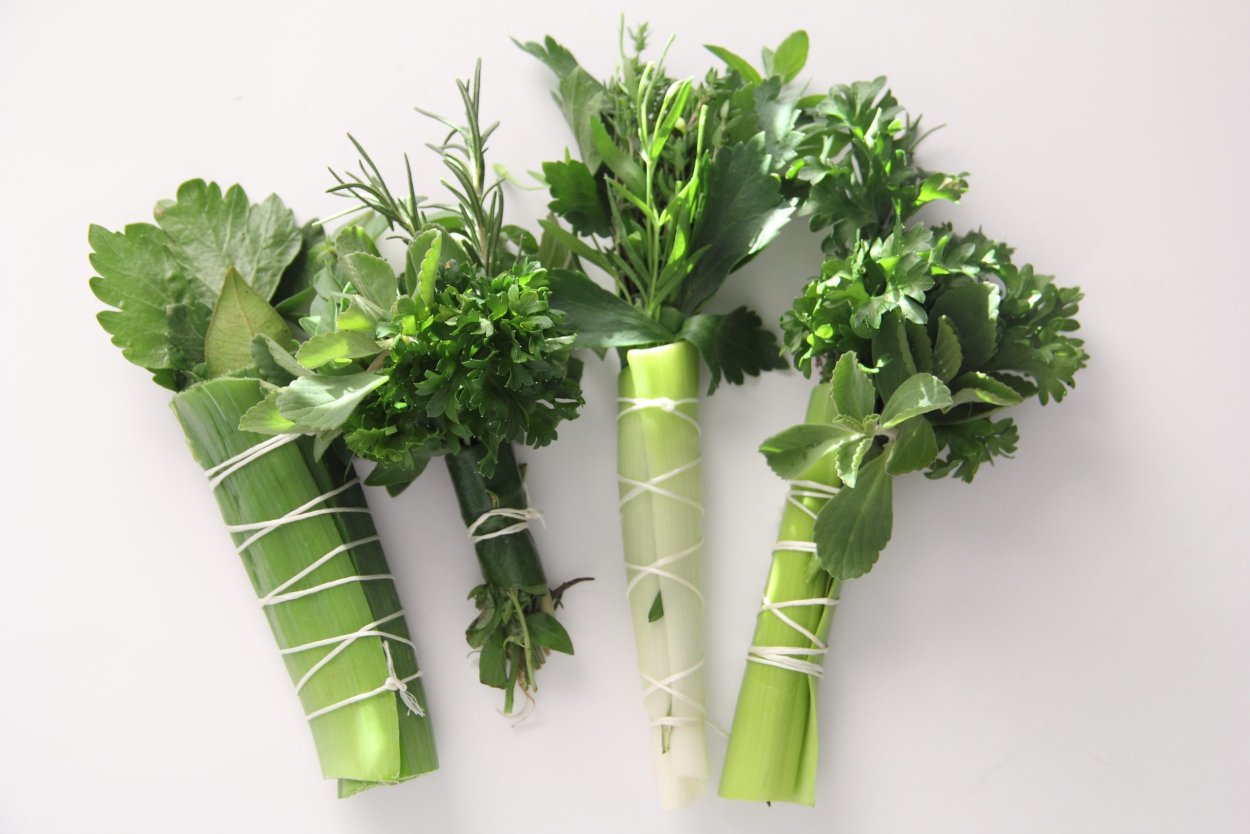 Съедобная трава весной