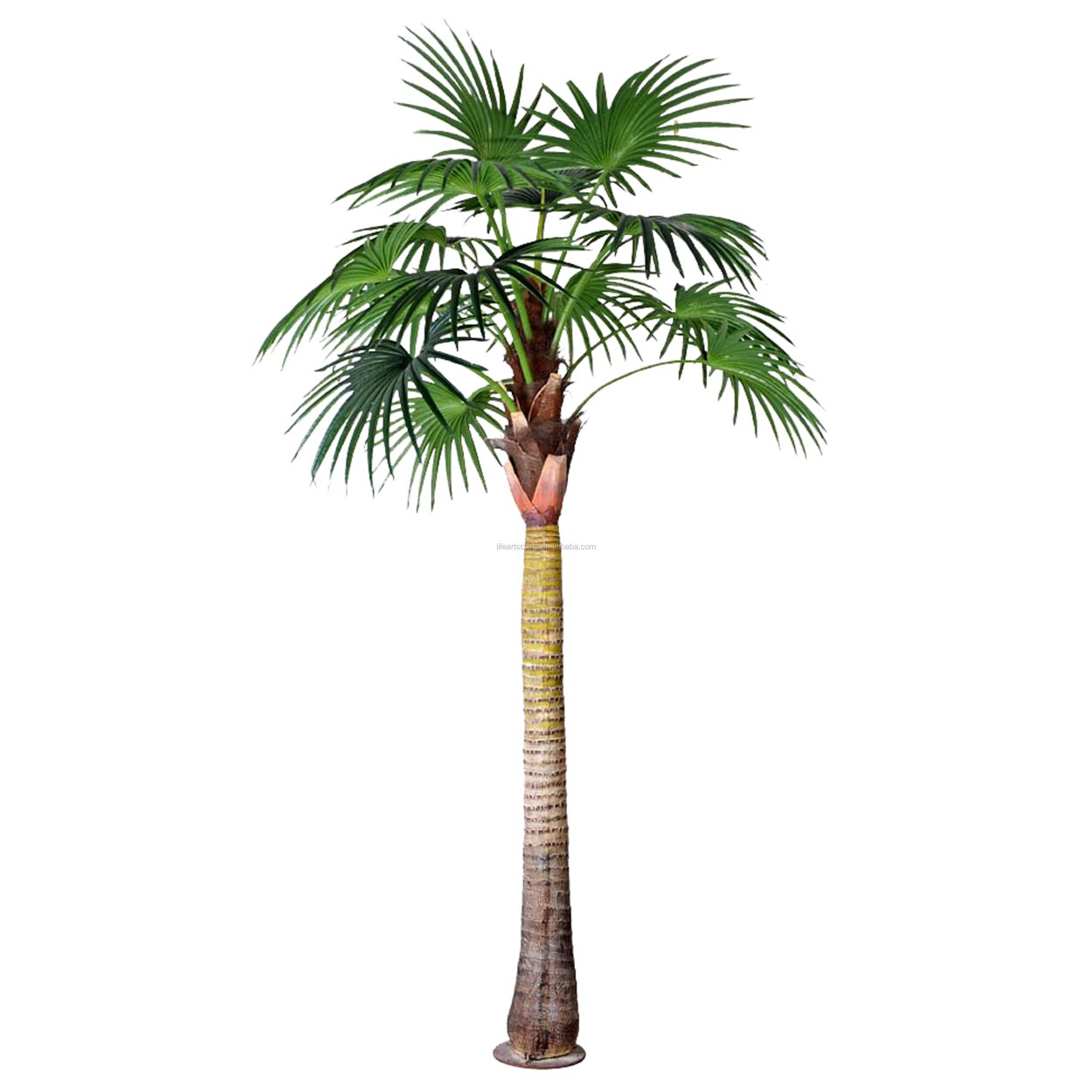 Стебель пальмы