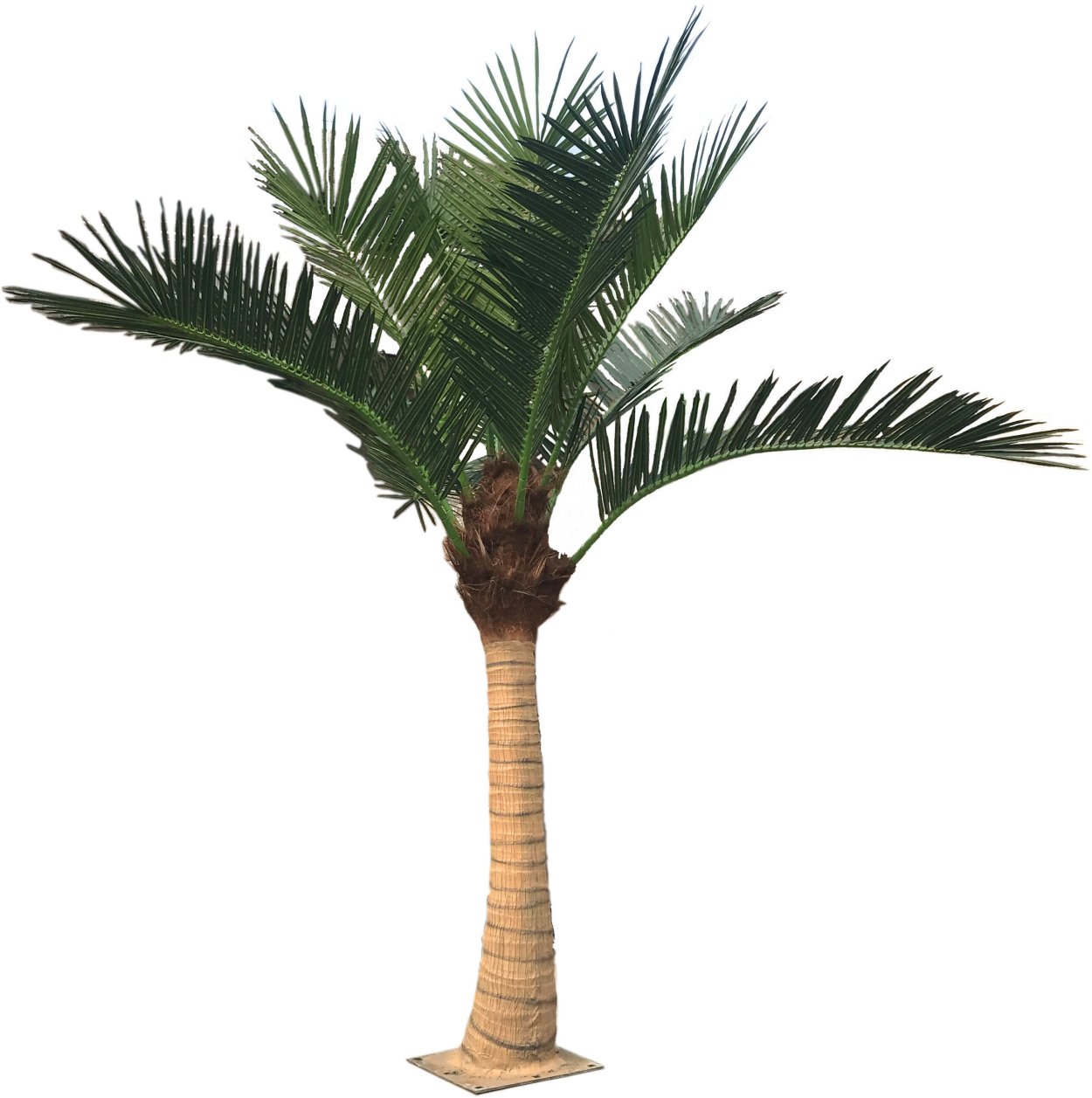 Плантации кокосовых пальм Сингапур