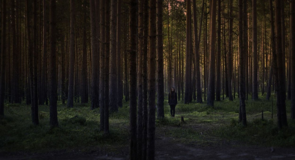 Темный Сосновый лес