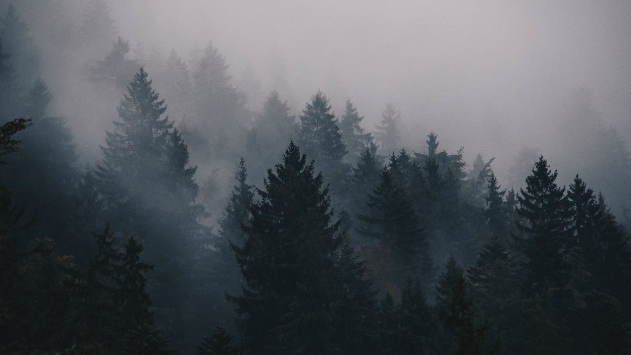 Осенние Сумерки