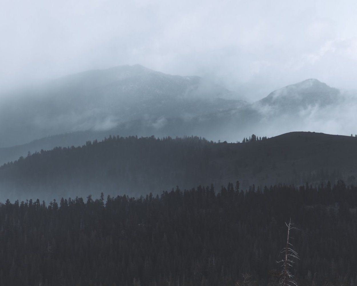 Горы в тумане 4к