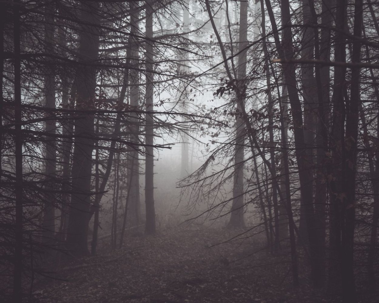 Мрак Эстетика