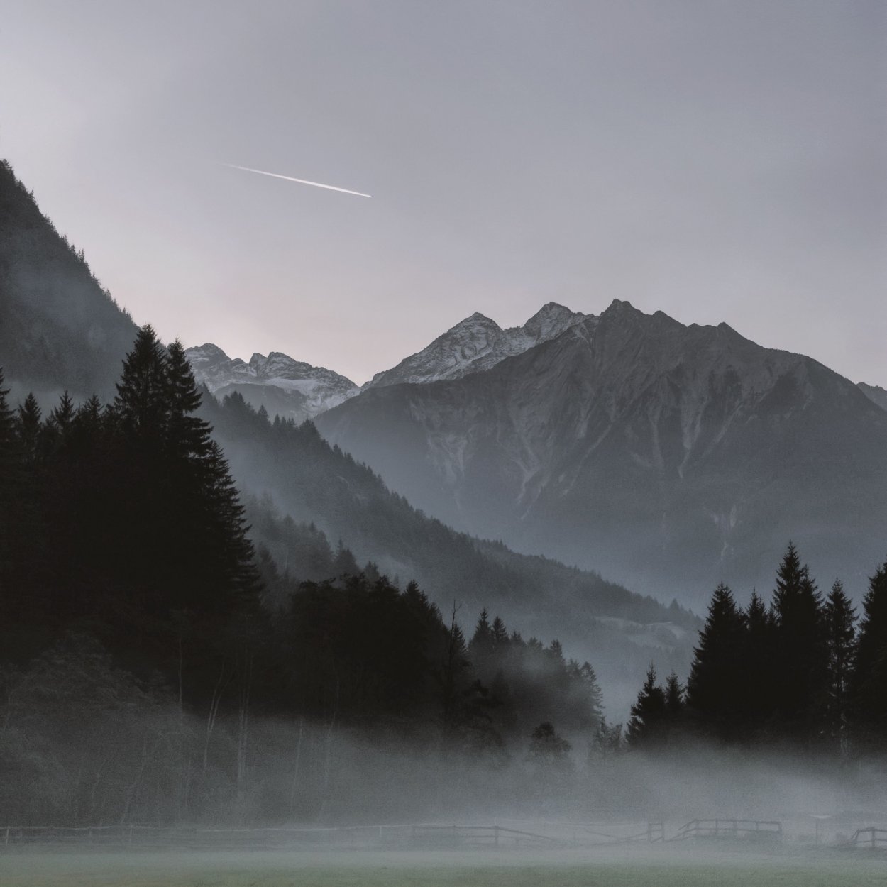 Леса горы туман