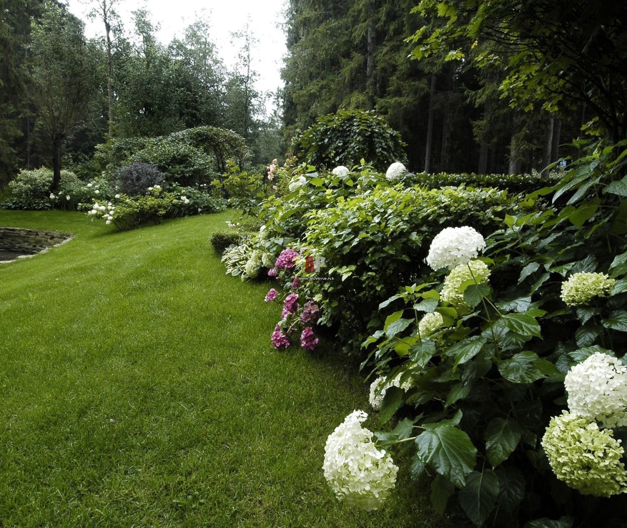 Рокарий с гортензией