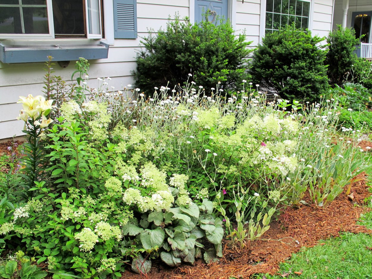Сад с гортензиями и хвойниками в Лесном стиле