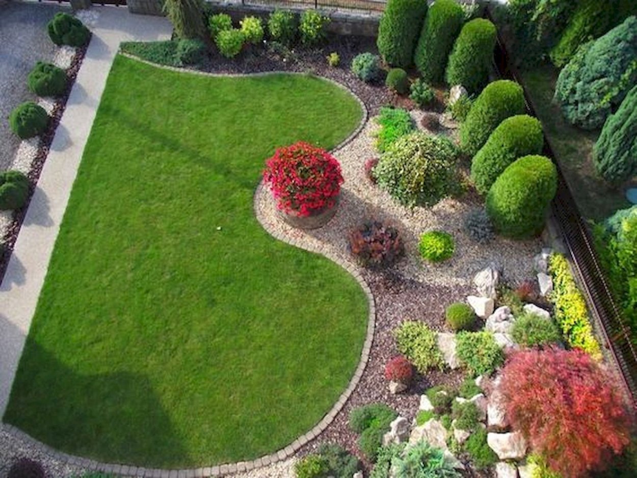 Сагина шиловидная в ландшафтном дизайне