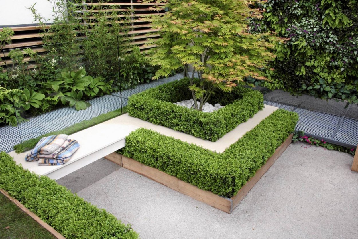 Шалька в ландшафтном дизайне