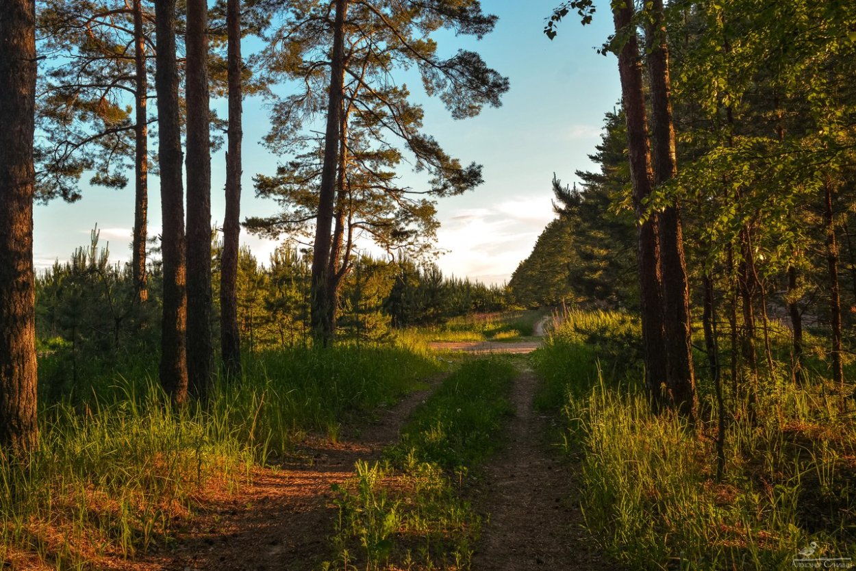 Чунский ЛПК вывозка леса