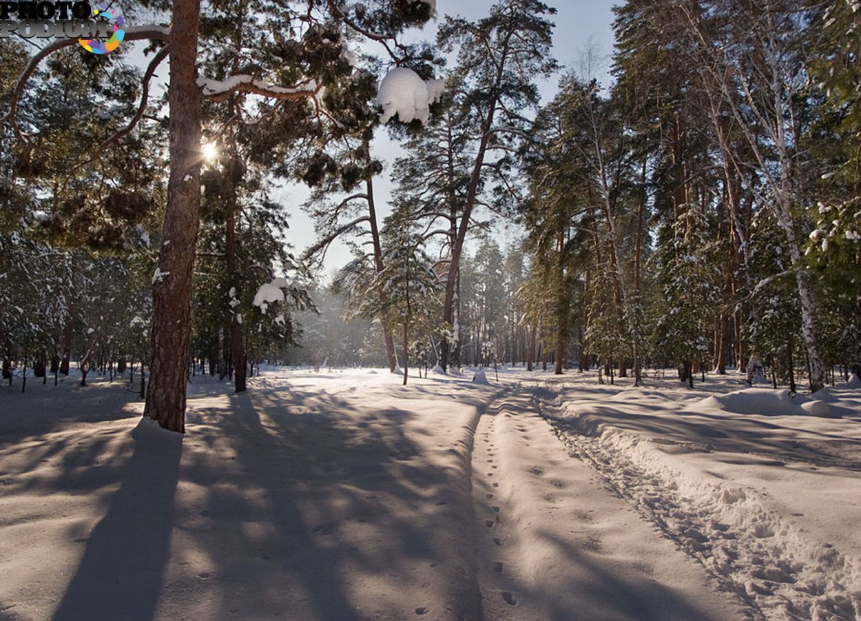 Парк Северск зимой